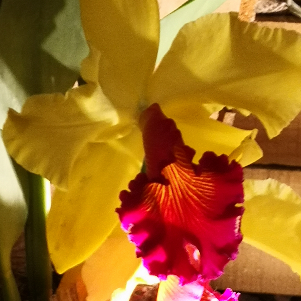 Fontfroide_2022
